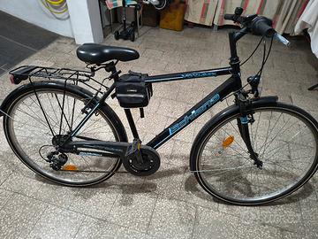 Bicicletta schiano