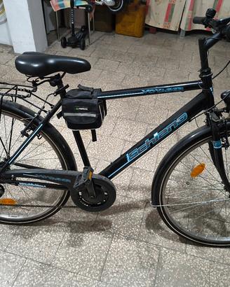 Bicicletta schiano