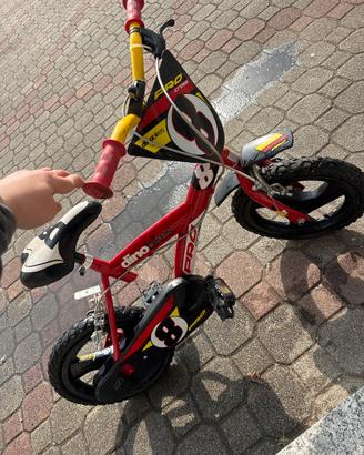 Bicicletta