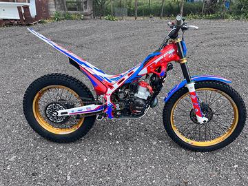 Trial Beta Evo 300 - 2022