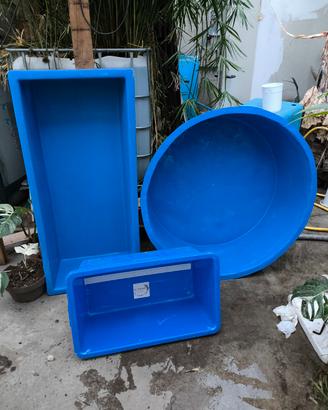 bowl rotonda misurazione ispezione koi