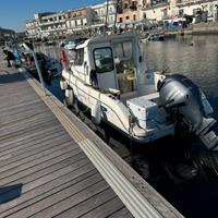 Sessa Dorado 22