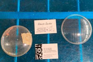 Vetro anteriore 110 mm