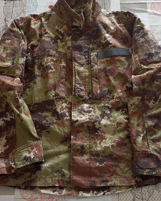 Mimetica vegetata italiana completa