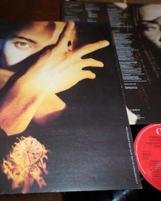 TERENCE TRENT D'ARBY  Neither Fish Nor Flesh LP 33