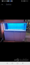 Acquario Marino / dolce  150x50x50 con sump