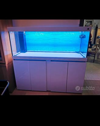 Acquario Marino / dolce  150x50x50 con sump