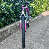 Bicicletta Mountain Bike