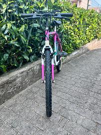 Bicicletta Mountain Bike