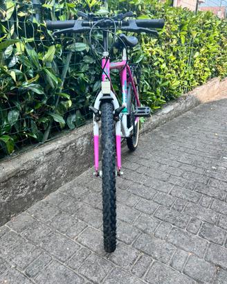 Bicicletta Mountain Bike
