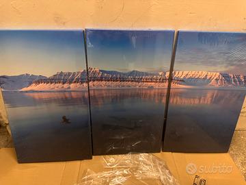 Stampa canvas isole svalbard