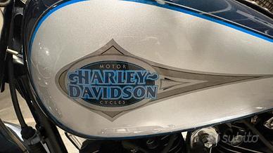 Harley Softail 1450 twin cam carburatori