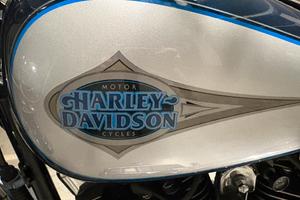Harley Softail 1450 twin cam carburatori