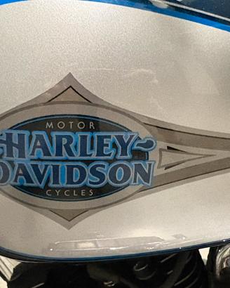 Harley Softail 1450 twin cam carburatori