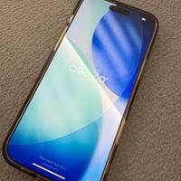 Iphone 16 pro max Apple store