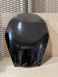 Schermo touring Fazer