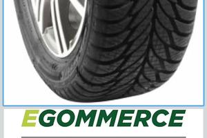 2 Pneumatici Auto ICEGRIP 185/55 R15 82H