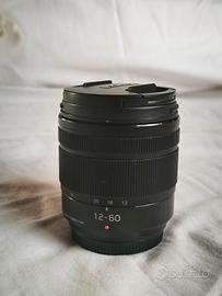 Panasonic Lumix 12-60 3.5 5.6 g vario