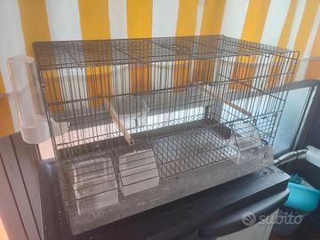 gabbia 