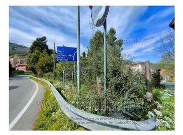 Terreno Agricolo Narni [A4349253]