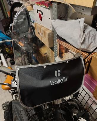 Parabrezza, seggiolino e caschetto bici