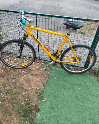 Bicicletta 
