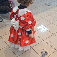 Vestito carnevale