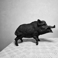 Animale in pietra Vulcanica