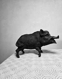 Animale in pietra Vulcanica