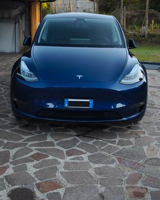 Tesla Y Performance 2023
