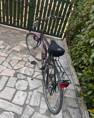 Bicicletta Gazelle