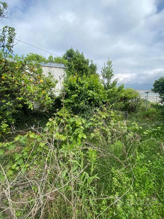 Terreno di 1800 m² a Albenga - Vista 4