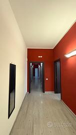 Stanze a studentesse/lavoratrici