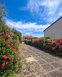 Villetta a schiera con giardino