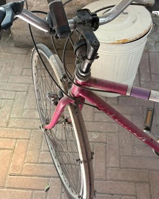Bicicletta