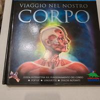 Libro pop up "viaggio nel nostro corpo"