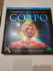 Libro pop up "viaggio nel nostro corpo"