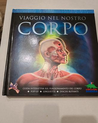 Libro pop up "viaggio nel nostro corpo"