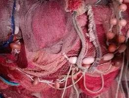 Rete da pesca tipo "Cianciolo"