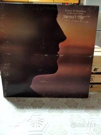 Dischi vinile