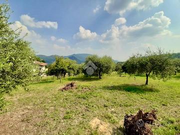 TER. AGRICOLO A TEOLO