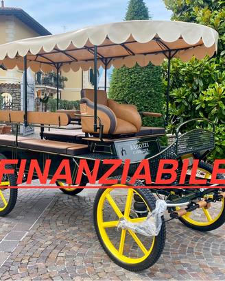 Carrozza per cavalli marathon maxy training l200