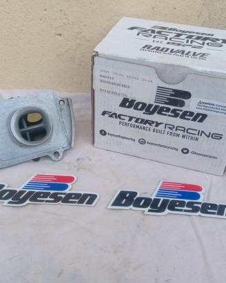 Pacco lamellare Boyesen Yz125