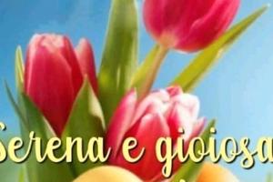 BMW Serie 3 (E90/91) - 2007