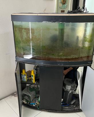 Acquario Askoll Tenerife 150L