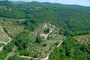 Agriturismo nel cuore del Chianti