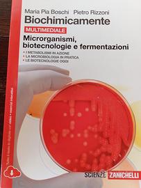 biochimicamente