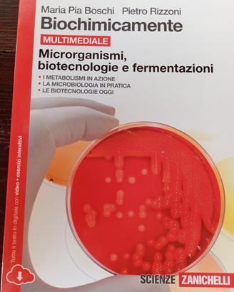 biochimicamente