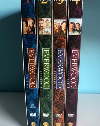 DVD Everwood serie completa