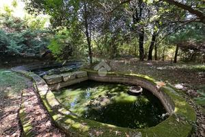 CASA INDIPENDENTE A MONTECASTRILLI